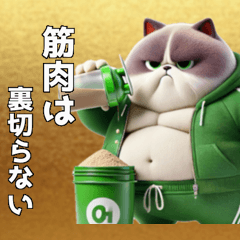 [LINEスタンプ] 緑ジャージネコ(筋トレ)