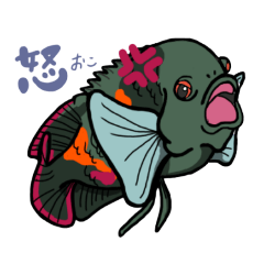 [LINEスタンプ] 熱帯魚・古代魚の日常