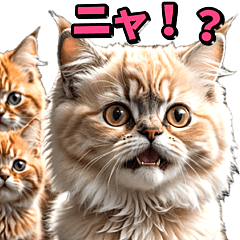 [LINEスタンプ] ニャーニャー語♡リアル猫