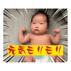 [LINEスタンプ] コガモの画像（メイン）