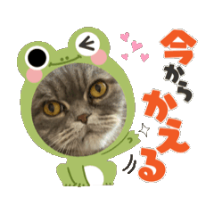 [LINEスタンプ] そらまるてん