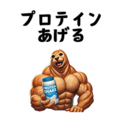 [LINEスタンプ] 筋トレマニアアザラシ