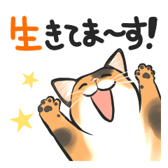 [LINEスタンプ] ねこレター 生存確認