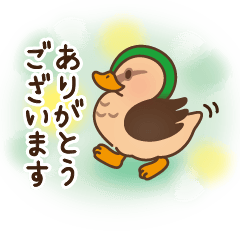 [LINEスタンプ] かもんちゃんスタンプver2