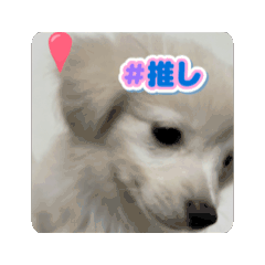 [LINEスタンプ] ウユくんとの暮らし2の画像（メイン）