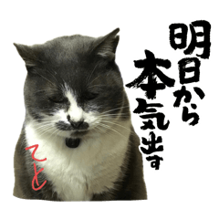 [LINEスタンプ] テトチャーン