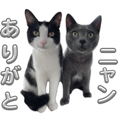 [LINEスタンプ] RIRI＆RON⑬