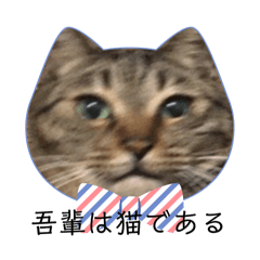 [LINEスタンプ] はちまるさんのスタンプの画像（メイン）