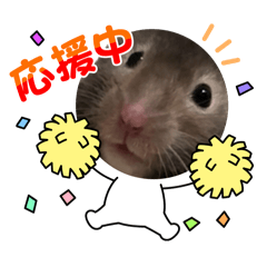 [LINEスタンプ] ハムハムのハムスター「日常あいさつ」