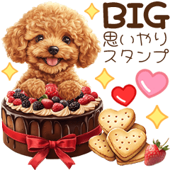 [LINEスタンプ] チョコとトイプードル♡思いやりスタンプ