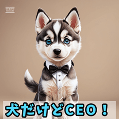 [LINEスタンプ] CEOハスキー 仕事編