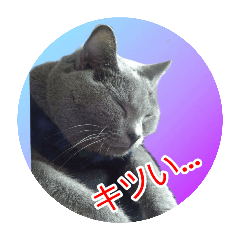 [LINEスタンプ] 天使之晴明くんと千早ちゃん2-病弱な日常-