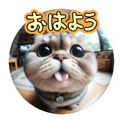 [LINEスタンプ] 魚眼レンズで覗く猫たち