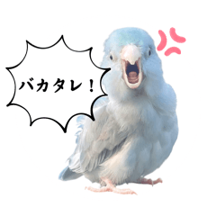 [LINEスタンプ] マメルリハ達23
