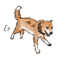 [LINEスタンプ] 愛犬ラックと日常