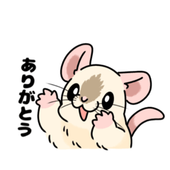 [LINEスタンプ] ファンシーラットのスタンプです