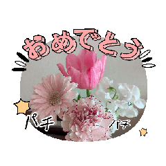 [LINEスタンプ] ハナ 作成6，