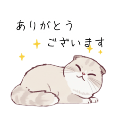 [LINEスタンプ] 【敬語】猫のスコティッシュフォールド挨拶