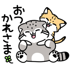 [LINEスタンプ] ゆるっとマヌルちゃん18 気持ちを伝える