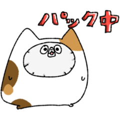 [LINEスタンプ] ふくねこ～福をよぶネコたち～