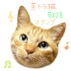 [LINEスタンプ] 茶トラ 猫 敬語 あいさつ スタンプ