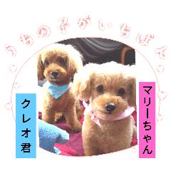 [LINEスタンプ] 挨拶❤クレオ君とマリーちゃん