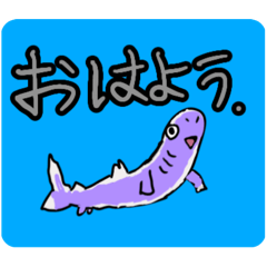 [LINEスタンプ] サメさんと挨拶【毎日使える】