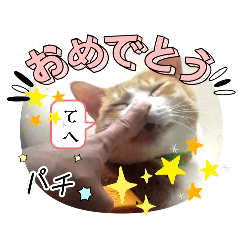 [LINEスタンプ] 幸せふくふく