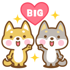 [LINEスタンプ] BIG 見やすい柴犬さんたちのスタンプ