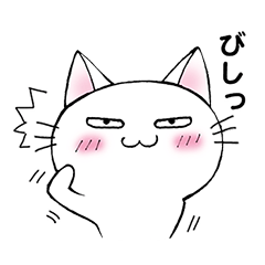 [LINEスタンプ] 猫のぷるるとうらら