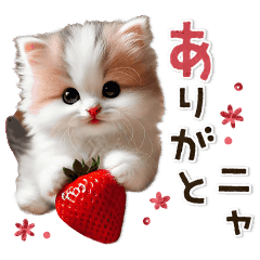 [LINEスタンプ] 動く！可愛い♡ふわふわ子猫がいっぱい♡