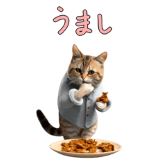 [LINEスタンプ] 飛び出すリアル猫