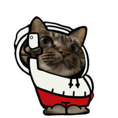 [LINEスタンプ] 動くキジトラ猫4