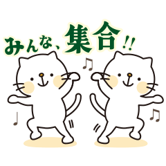 [LINEスタンプ] ノッポキャット 踊る猫のスタンプ