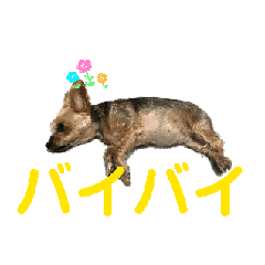 [LINEスタンプ] ワンちゃん大好きです2