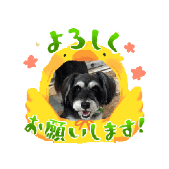 [LINEスタンプ] アーTEL