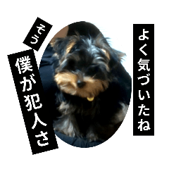 [LINEスタンプ] プリンスつなスタンプver.1