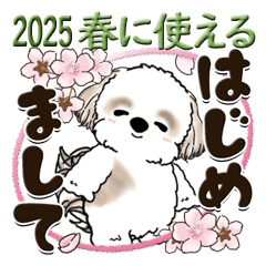 [LINEスタンプ] シーズー犬『春に使える』