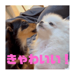 [LINEスタンプ] しまうにスタンプ バージョン2