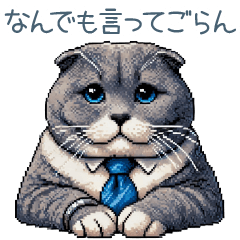 [LINEスタンプ] 頼れる旦那ネコ【日常会話・夫婦】