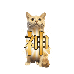 [LINEスタンプ] こつぶ時々さち