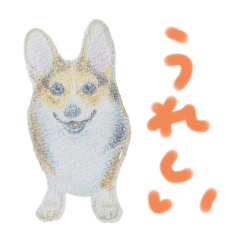 [LINEスタンプ] フラコギ琥珀とお友達イラスト