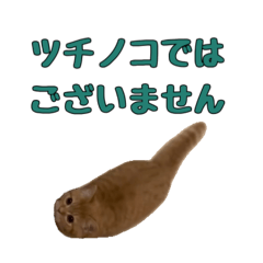 [LINEスタンプ] ねこのジャクソン