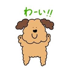 [LINEスタンプ] トイプードルのまいにちスタンプ