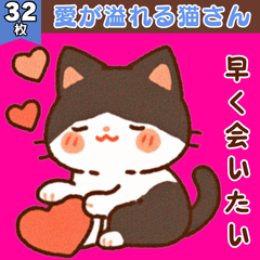 [LINEスタンプ] 愛が溢れる猫さん