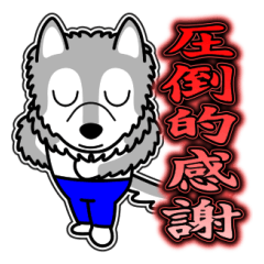 [LINEスタンプ] ボクシー 17 [丁寧な言葉グラデ文字]