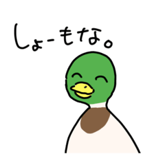 [LINEスタンプ] 関西弁の鴨ちゃん