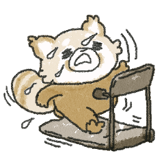 [LINEスタンプ] ダイエッター色白レッサーパンダ