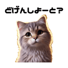 [LINEスタンプ] 博多弁の猫しゃべる