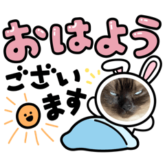 [LINEスタンプ] おもしろいすたんぷ(公開)